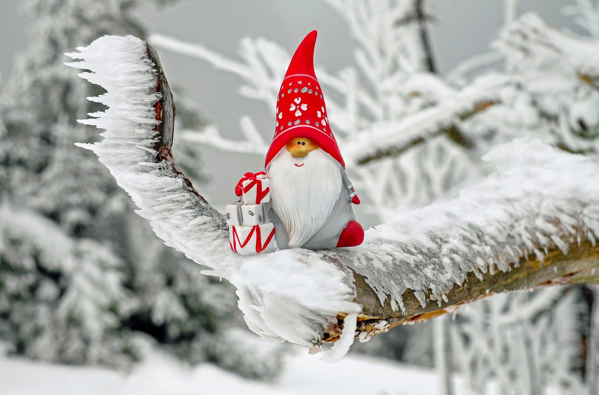 A North Pole elf with gifts sitting on a snow-covered tree branch.